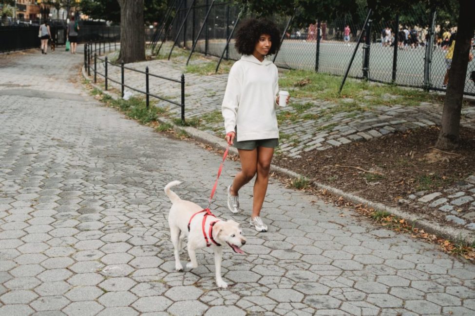 woman holding coffee walking her dog